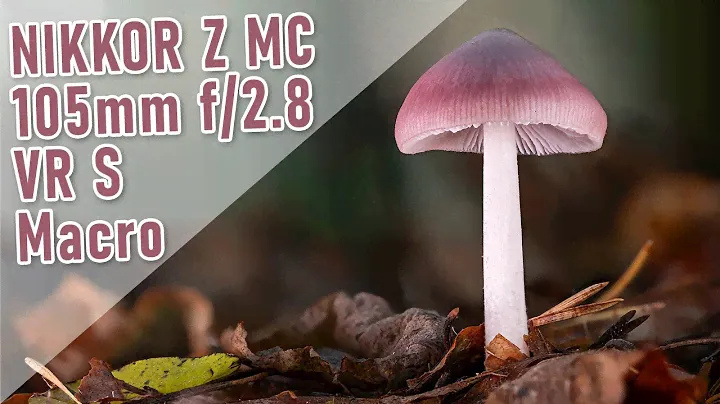 NIKKOR Z MC 105mm f/2.8 VR S - Real World Sample Images - Nikon Z Flagship Fullframe Macro Lens