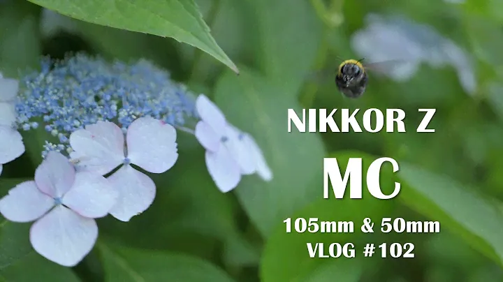 NIKKOR Z MC 105、50mm マイクロレンズをとことん楽しむ VLOG #102