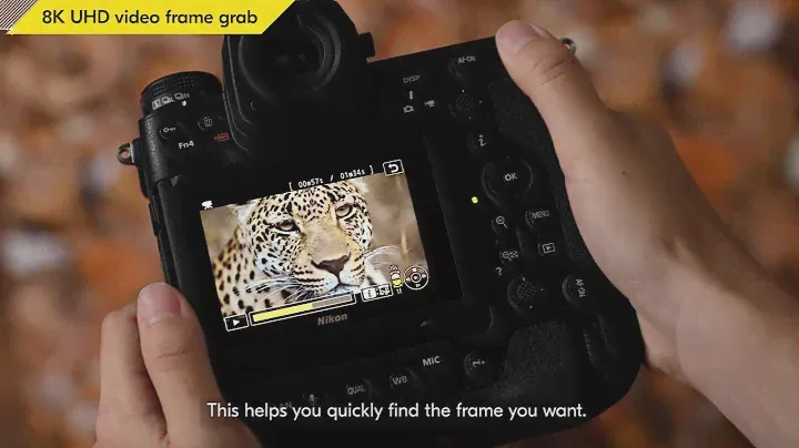 Nikon Z 9: 8K UHD Video Frame Grab