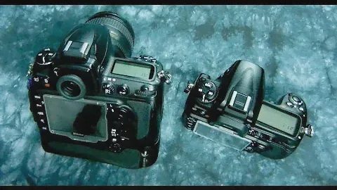 Разгневанный фотограф: D700 против NIKON D300, потрясающий D300 за 230 долларов и более в Roberts Camera!