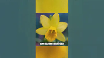 Pentax K to Fujifilm Macro Adapter #photography #macrophotography