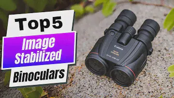 Best Image-Stabilized Binoculars (Budget-Friendly Options Too!)