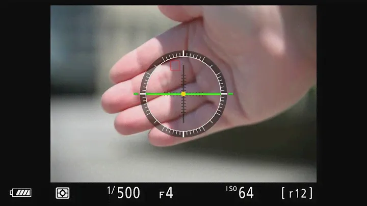 Tamron 35-150mm F2.8-4 OSD AF test (Nikon Z 7)