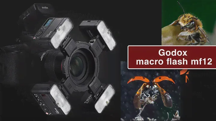 Godox Macro Flash MF12. Вспышка для макро съемки
