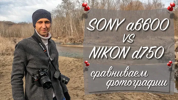 Sony a6600 vs Nikon d750 | Сравниваем фотографии