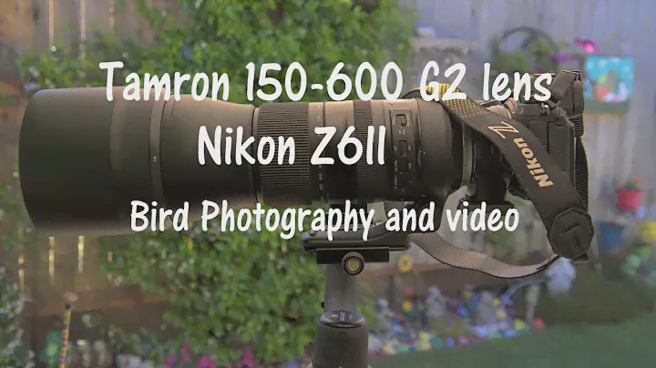 Объектив Tamron 150-600 G2 на Nikon Z6II, видео и фотосъемка птиц