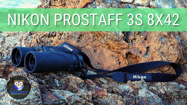 Nikon ProStaff 3S 8x42 Binoculars User Review - The Perfect Companion For Bird Watching