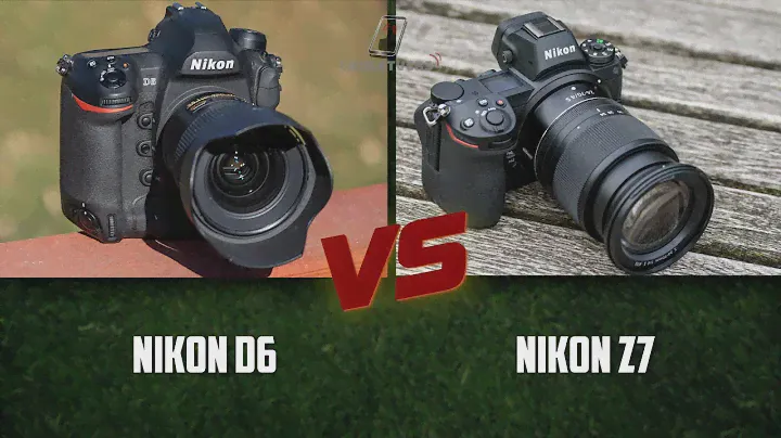Nikon D6 vs Nikon Z7 - Top Cameras Comparison