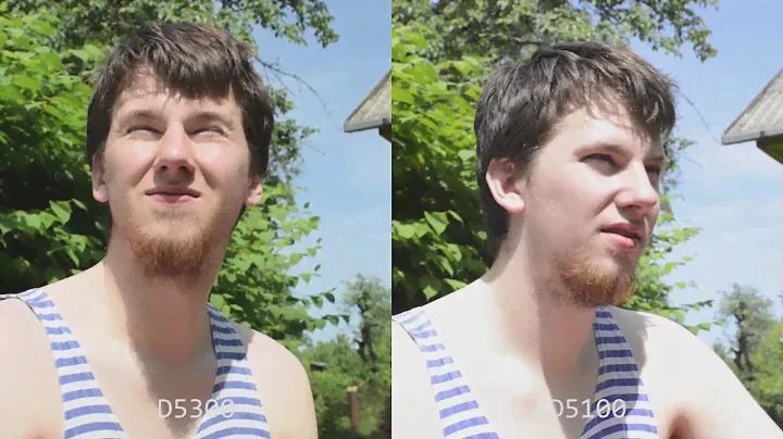 NIKON: D5100 vs D5300