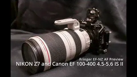 Fringer EF-NZ on Nikon Z7 with Canon EF 100-400 4.5-5.6 IS II USM