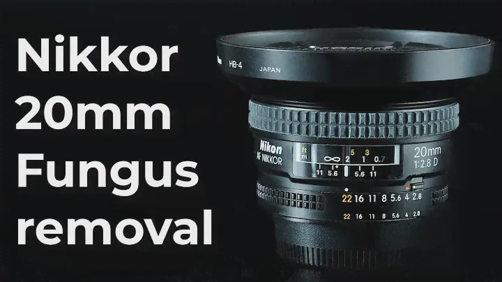 Nikon Nikkor 20mm fungus removal : Lens repair