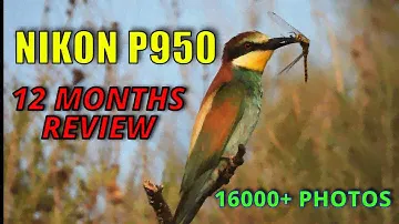 NIKON P950 CAMERA 12 MONTHS REVIEW
