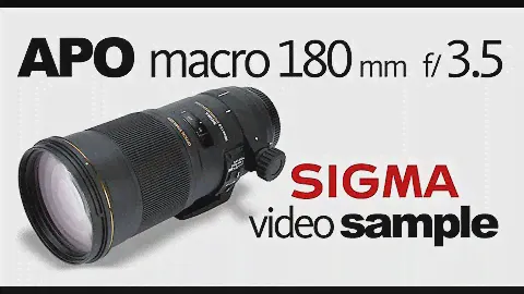 Sigma 180mm f/3.5 EX DG IF HSM APO Macro / 12 Photo Samples