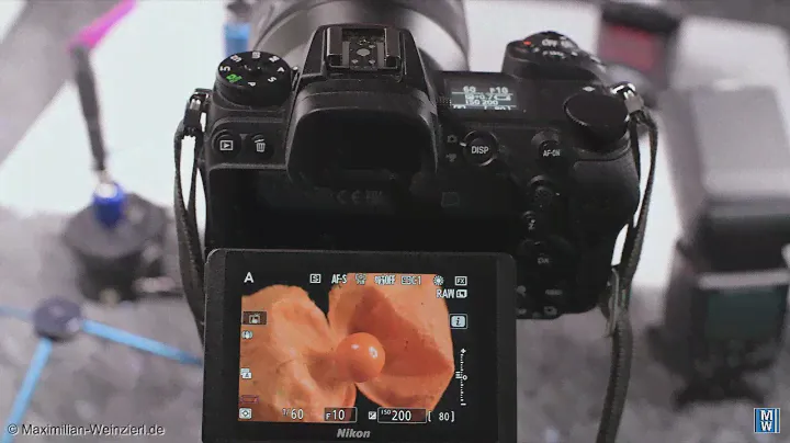 Nikon Z7 II – hide the info displays on the monitor by pressing the video button. definitely COOL !