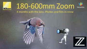 Nikon Z9 and Nikon 180-600mm. More than 4 months with the lens. Follow me in my blind.