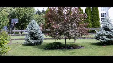 Nikon D5200 18-55 VR II - Video Test #1