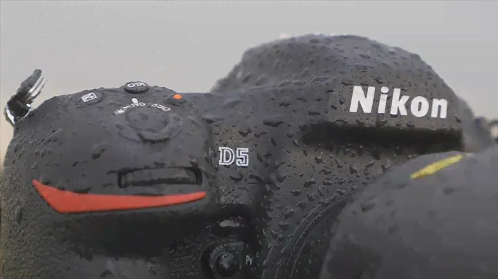DRTV по-русски: Обзор Nikon D5