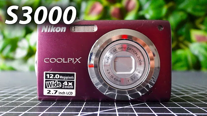 Nikon Coolpix S3000 test video zoom footage 2024