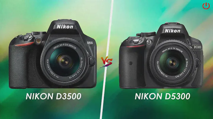 Nikon D3500 vs Nikon D5300 | Full Comparison