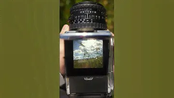 Look through this film camera #filmphotography