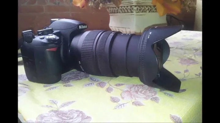 Sigma 17-70 f2.8-4 Macro HSM OS on Nikon D3100