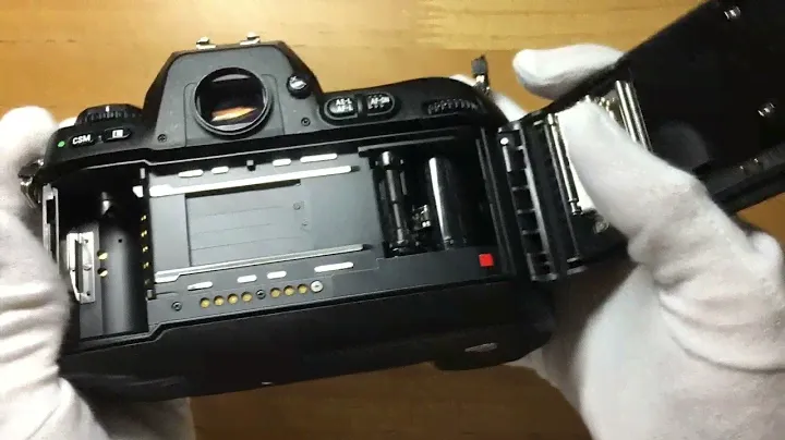 Nikon F100 2022/7 #1011877