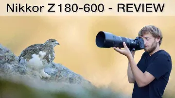 The perfect all-round zoom for wildlife photographers? Nikon Z180-600mm Review