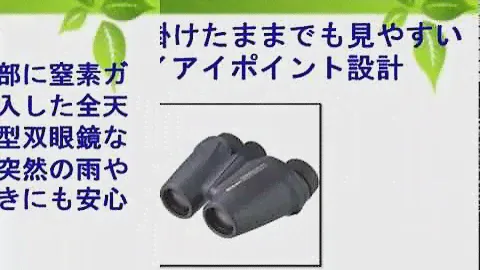 Nikon 双眼鏡 トラベライトEX 8×25 CF