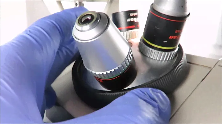 Nikon TMS F Inverted Microscope